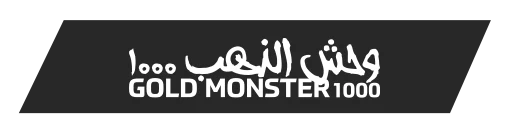 Sivas Minelab Gold Monster 1000 - Gold Monster 1000 küçük altın dedektörü